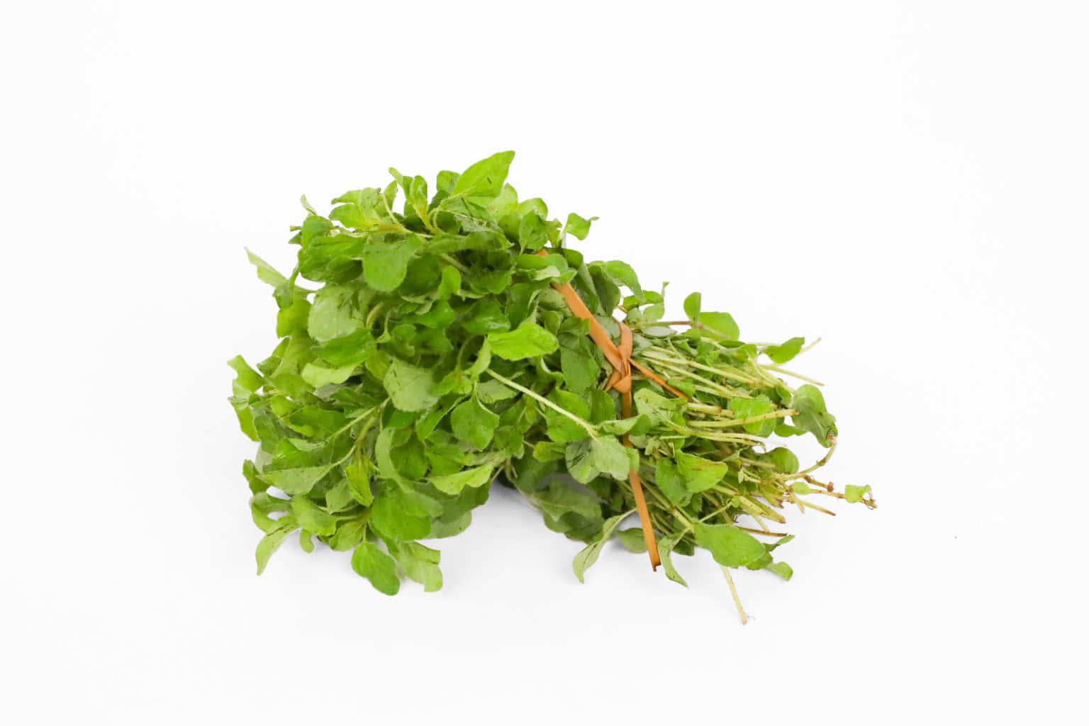 Mlango Farm Organic Oregano (Bunch)