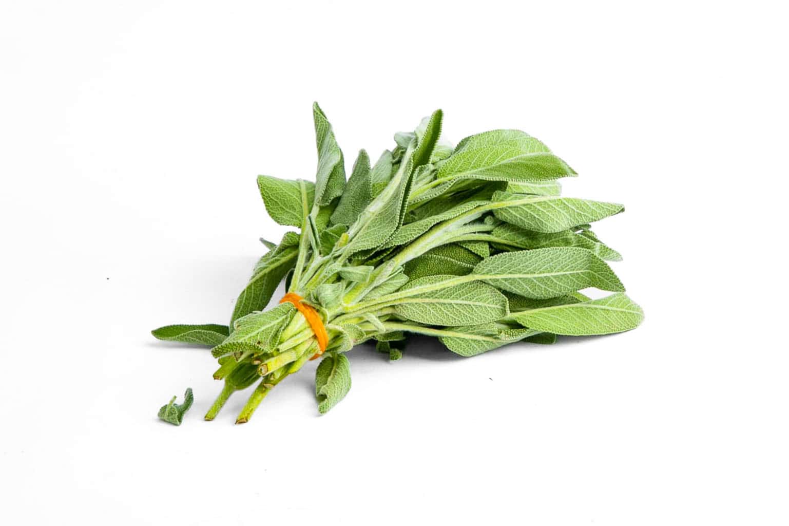 Mlango Farm Organic Sage (Bunch)