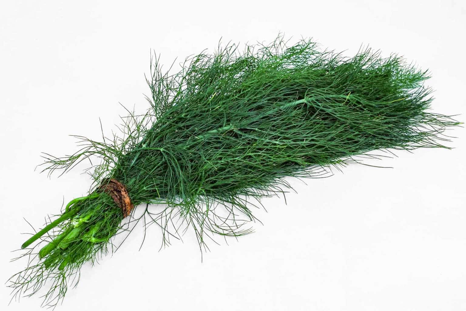 Organic Dill – 50g (Bunch)