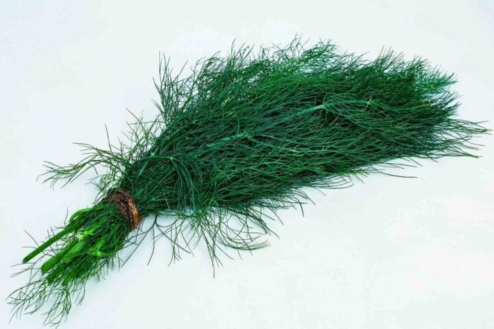 Organic Dill - Bunch