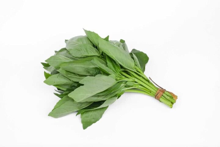 Organic Basil - 100g (Bunch)