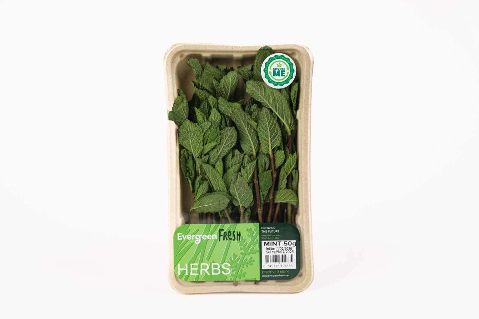 Evergreen Fresh Mint – 50g