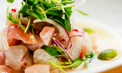 Copy-of-Recipe-Images-Website-GreenSpoon-10-2-tuna-ceviche