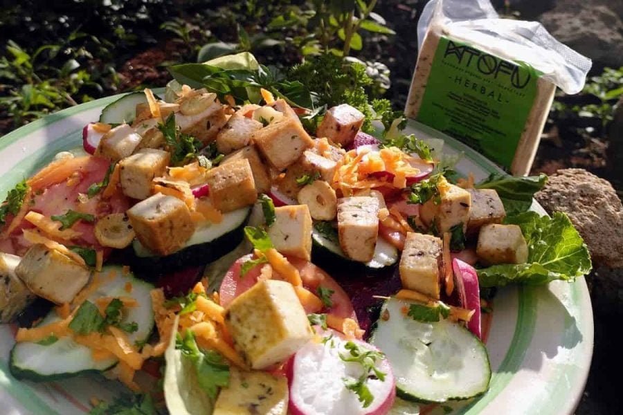 Greenspoon Producer Mtofu Kenya 3