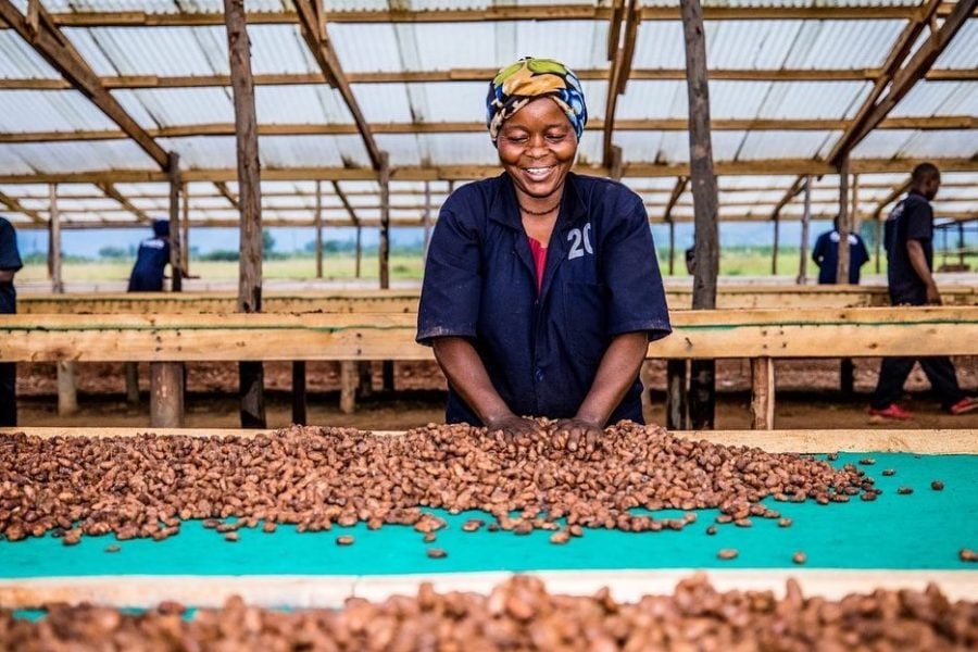 Latitude Chocolate Greenspoon Kenya Producers 2
