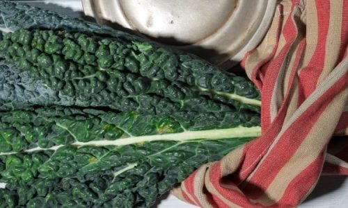 tuscan-kale-Recipe-Images-Website-GreenSpoon-19-min