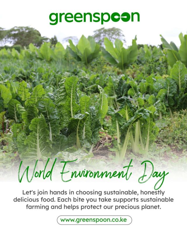 💚 Happy World Environment Day! 🌿✨ Let's come together to protect our planet for a brighter future. 🌱  Today calls for some eco-friendly fun and here are simplified to-do list to make your evening meaningful: ⁠
⁠
1. Embrace nature's beauty: Take a stroll in your nearby park or garden to appreciate the wonders of our planet. 🌳🌸⁠
⁠
2. Lights off, cozy up: Enjoy a candlelit evening, not just to set the mood but also to conserve energy. 🕯️💡⁠
⁠
3. Eco-conscious movie night: Pick an environmentally themed film and snuggle up with a bowl of delicious popcorn. 🍿🎥⁠
⁠
4. Plant parent time: Spend quality time with your green companions, nourishing them and spreading those good vibes. 🌱🌿⁠
⁠
5. DIY upcycling: Get crafty by transforming unused items into something useful or decorative. 🎨♻️⁠
⁠
6. Meatless Monday dinner: Whip up a delicious vegetarian or vegan meal that's both nutritious and planet-friendly. 🥦🍽️⁠
⁠
Remember, small actions can create big change! Let's make our Monday evening count by celebrating World Environment Day and taking steps to protect our beautiful planet. 🌍💚✨ ⁠
⁠
————————————⁠
⁠
🏍 GreenspoonGo: We are now open 7 days a week until 5 pm for delivery within 3 hours!⁠
⁠
📱 Download our app to enjoy our honestly delicious collection at the touch of a button! 😎⁠
⁠
🚛 We deliver free* 7 days a week and with a big smile 😁⁠
⁠
🍅 We now have 3000+ honestly delicious products waiting for you! 🍩 🍳 🍻⁠
⁠
⁠👩🏾‍🔬 We research every product on quality, food safety and environmental impact, so you don't have to!⁠
⁠
💸 Better product without breaking the bank!! We price-match with the shops you know! ✅⁠
⁠
🆘 Something wrong? We will refund you same day 🌟⁠
⁠
🇰🇪 Shop local -> shop green 🌿 and support Kenyan entrepreneurs ⁠
⁠
⏩ www.greenspoon.co.ke ⏪⁠
⁠
Good for you, good for the planet 🌍⁠
⁠
*Orders above 5,000 KES⁠
⁠
⁠