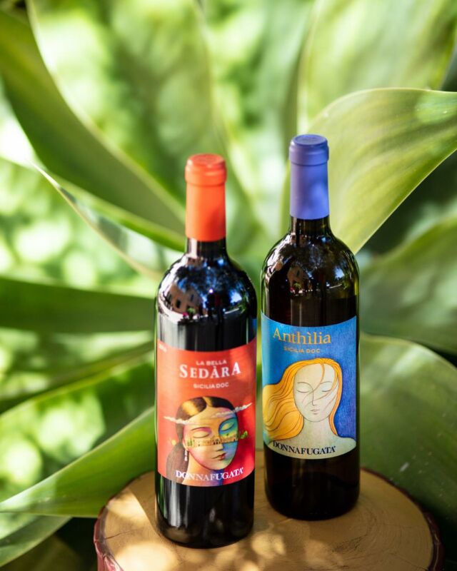 🍷✨ Sip, Sip, Hooray! 🎉 Enjoy Wine Discounts All Week Long! 🍇🥂⁠
⁠
Dive into the festive vibes with 20% off on select wines from today until the 3rd! 🎁⁠
⁠
Red, white, rosé - we’ve got the palette to please every sipper! 🌈🍾 Don’t miss out on the chance to stock up for the holidays. Explore our ‘Too Good To Go’ section and uncork the magic! 🌟🛒 Link in bio! ⁠
⁠
⁠
—————————————————————⁠
⁠
🏍 GreenspoonGo: We are now open 7 days a week until 5 pm for delivery within 3 hours!⁠
⁠
📱 Download our app to enjoy our honestly delicious collection at the touch of a button! 😎⁠
⁠
🚛 We deliver free* 7 days a week and with a big smile 😁⁠
⁠
🍅 We now have 3000+ honestly delicious products waiting for you! 🍩 🍳 🍻⁠
⁠
⁠👩🏾‍🔬 We research every product on quality, food safety and environmental impact, so you don’t have to!⁠
⁠
💸 Better product without breaking the bank!! We price-match with the shops you know! ✅⁠
⁠
🆘 Something wrong? We will refund you same day 🌟⁠
⁠
🇰🇪 Shop local -> shop green 🌿 and support Kenyan entrepreneurs ⁠
⁠
⏩ www.greenspoon.co.ke ⏪⁠
⁠
Good for you, good for the planet 🌍⁠
⁠
*Orders above 5,000 KES⁠
⁠
⁠