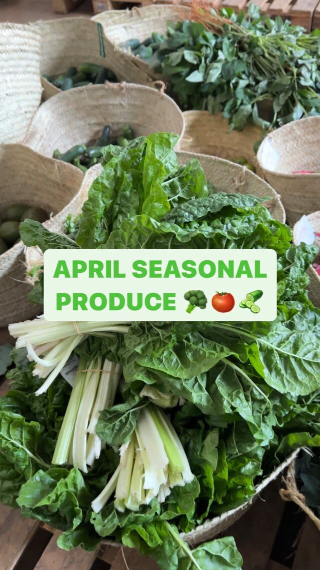 April Seasonal Produce 🫑🥬🍅

We’ve just received info from our in-house agronomist on a few fruit/veg shortages, but worry not because we’ve got a whole lot more to expect in stock! Here’s the scoop:
 
What’s in Season 🌿:
Broccoli 🥦, and cauliflower (supply is back on!)
Pomelo, pixies 🍊 and watermelons 🍉 and blood oranges (NEW!)
Red Onions 🧅
Leafy veggies (kale, spinach, managu, terere, all lettuces, white cabbage) 🥬
Coriander & herbs 🌱 (thyme, sage, rosemary, basil)
Capsicums (red, yellow, green)
Gooseberries
Courgette & cucumbers 🥒 (local & English)
Shortages 🚫:
Apple mango 🥭
White onions
Blackberries
Brussel sprouts
Parsnips
We hope this can help you as you meal plan for the week! 😃