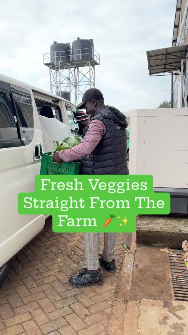 Need fresh veg? 🥕🥬🍅

You can get freshly harvested veg straight from the farm via Greenspoon! 🕺They are chemical & pesticide free meaning they are safe for you & your family! 💚

Head over to our website to shop! 🛒