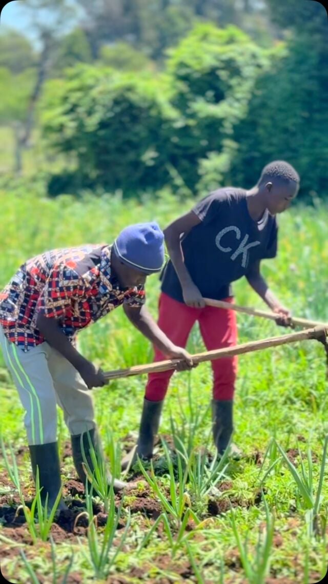 Yesterday, we went down to visit Farmer Purity’s farm! 🌿🚜 She supplies us with fresh cabbage, kales, spring onions, lettuce, and so much more 🥬🌱

 What we love most about Farmer Purity is her dedication to sustainable farming. She practices crop rotation, carefully switching crops to keep the soil healthy and full of nutrients, ensuring the land stays fertile season after season.

Instead of using synthetic fertilizers, she relies on natural compost that’s aged for months, enriching the soil naturally and supporting strong, healthy plants. Water is used wisely through efficient irrigation systems, and she regularly tests the water quality to make sure her crops get just the right amount without wasting a drop 💧.

 On top of that, she manages pests responsibly, avoiding harmful chemicals to protect both the environment and the food we eat. This thoughtful, eco-friendly approach means we get you the freshest, healthiest veggies while supporting farming that truly cares for the earth 🌎💚 Huge respect to Farmer Purity for growing with such passion and care — it’s clear in every leaf and every bite! 👩‍🌾