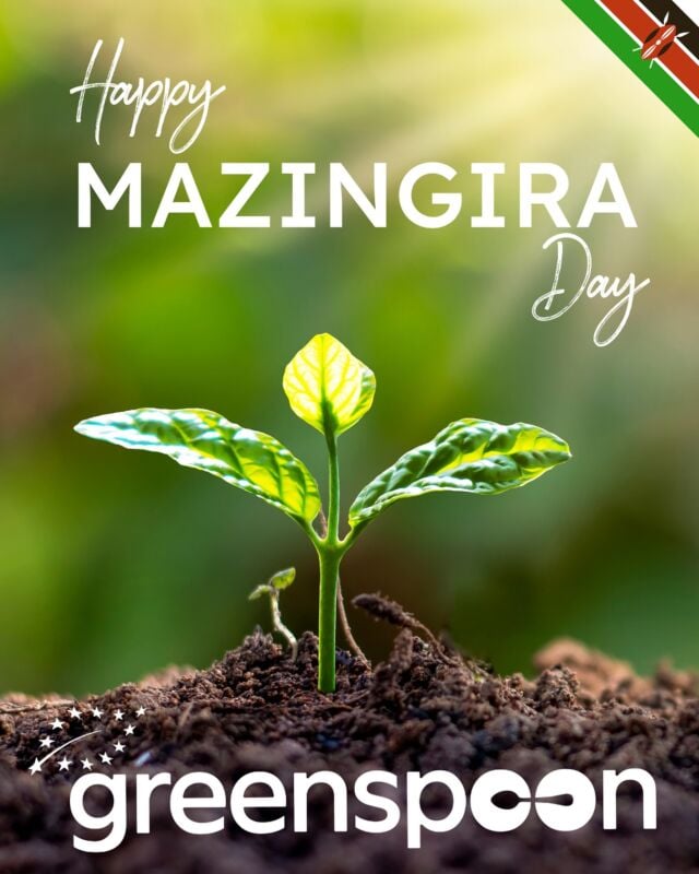 Happy Mazingira Day! 🌍️🌳⁠
⁠
Enjoy Kes. 300 off with code: Mazingira min spend Kes. 1,500. Choose GreenspoonGo at the checkout page to get your order in 99 minutes!⁠
⁠
Code valid today only.